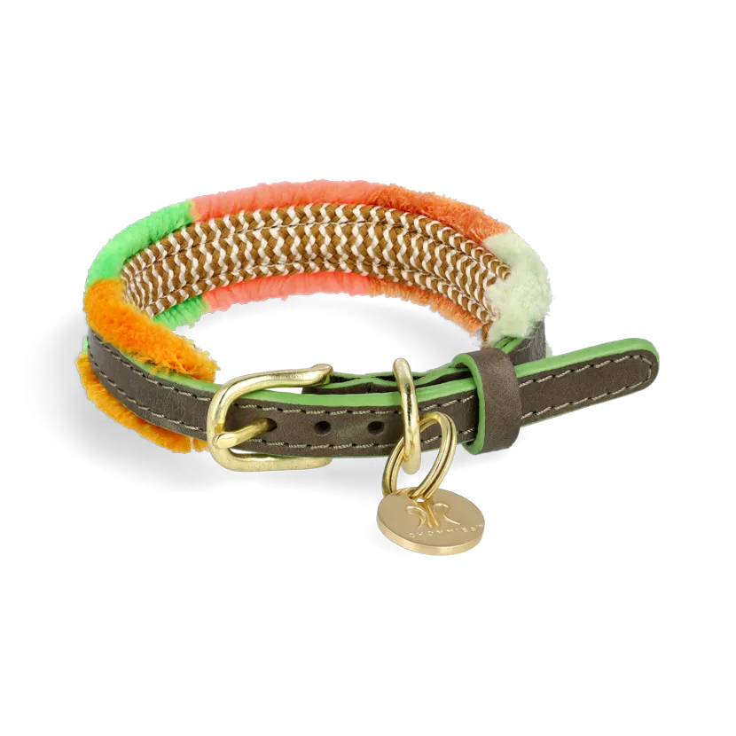 Adjustable Small Dog Collar | Pomm Pomm Spring