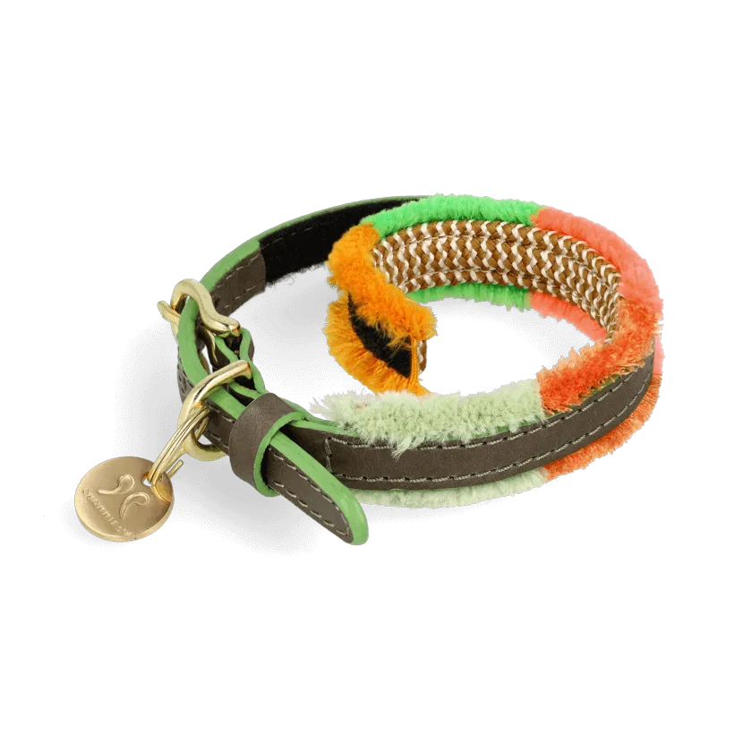 Adjustable Small Dog Collar | Pomm Pomm Spring