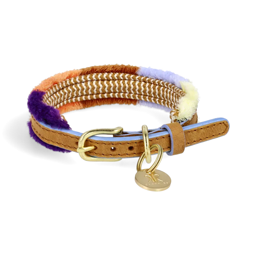 Adjustable Small Dog Collar | Pomm Pomm Summer