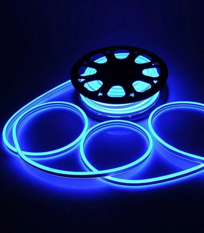 Blue Neon Flex Double Side 220V 240V 120LED/m 8x16mm IP67 Waterproof  Full Kit