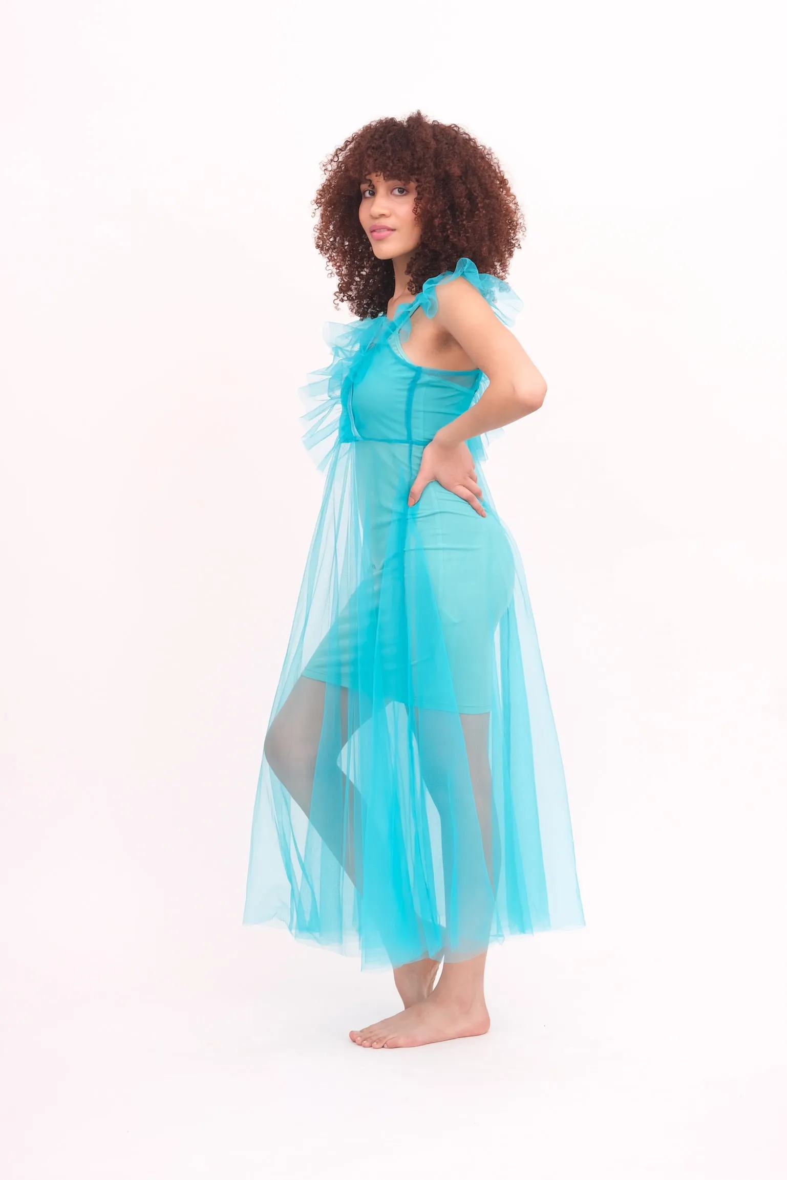 Blue Ruffled Tulle Dress