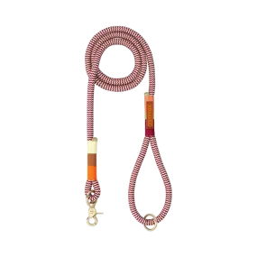 Everyday Dog Leash | Autumn