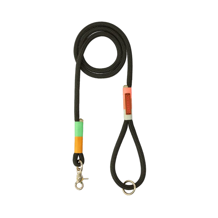 Everyday Dog Leash | Spring