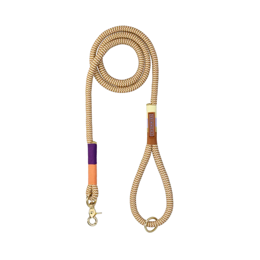 Everyday Dog Leash | Summer