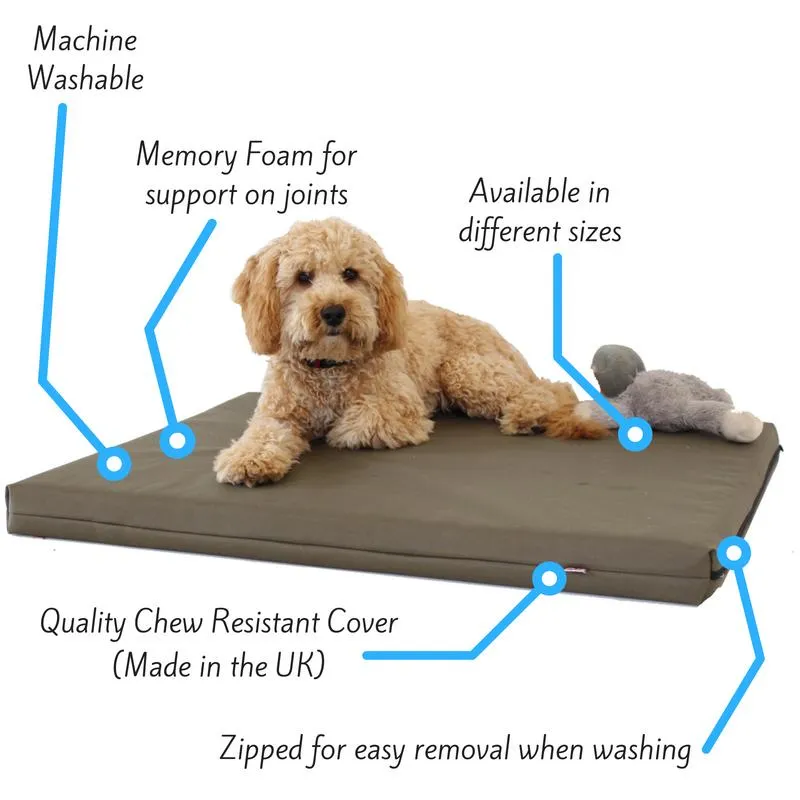 Memory Foam Dog Bed