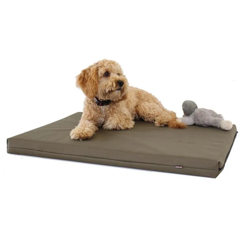 Memory Foam Dog Bed