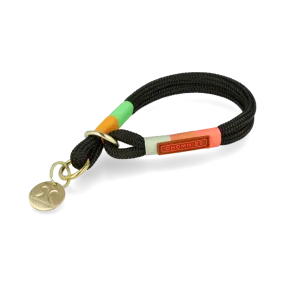 O-Ring Choker Dog Collar | Spring