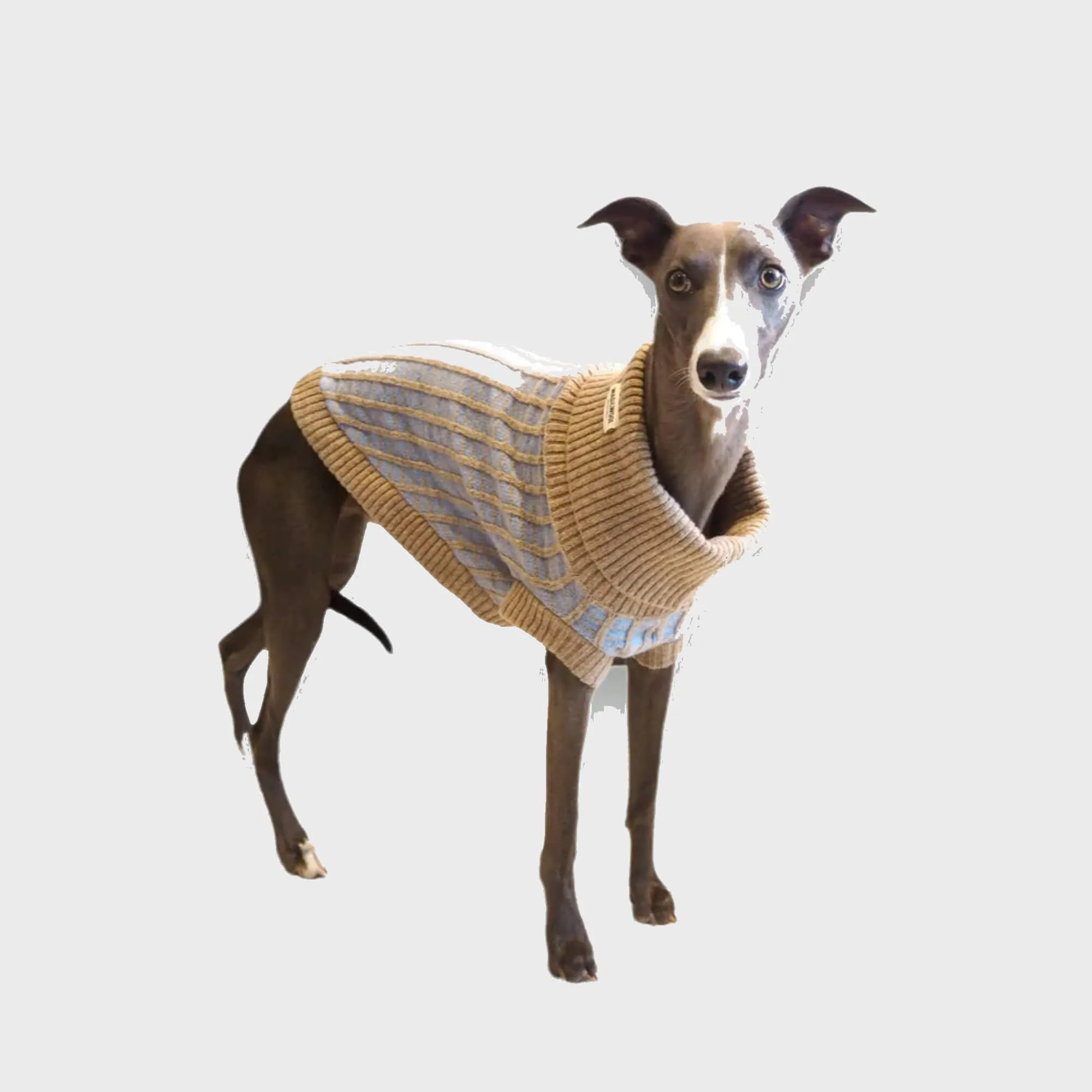 Paddy Dog Jumper Sky Blue