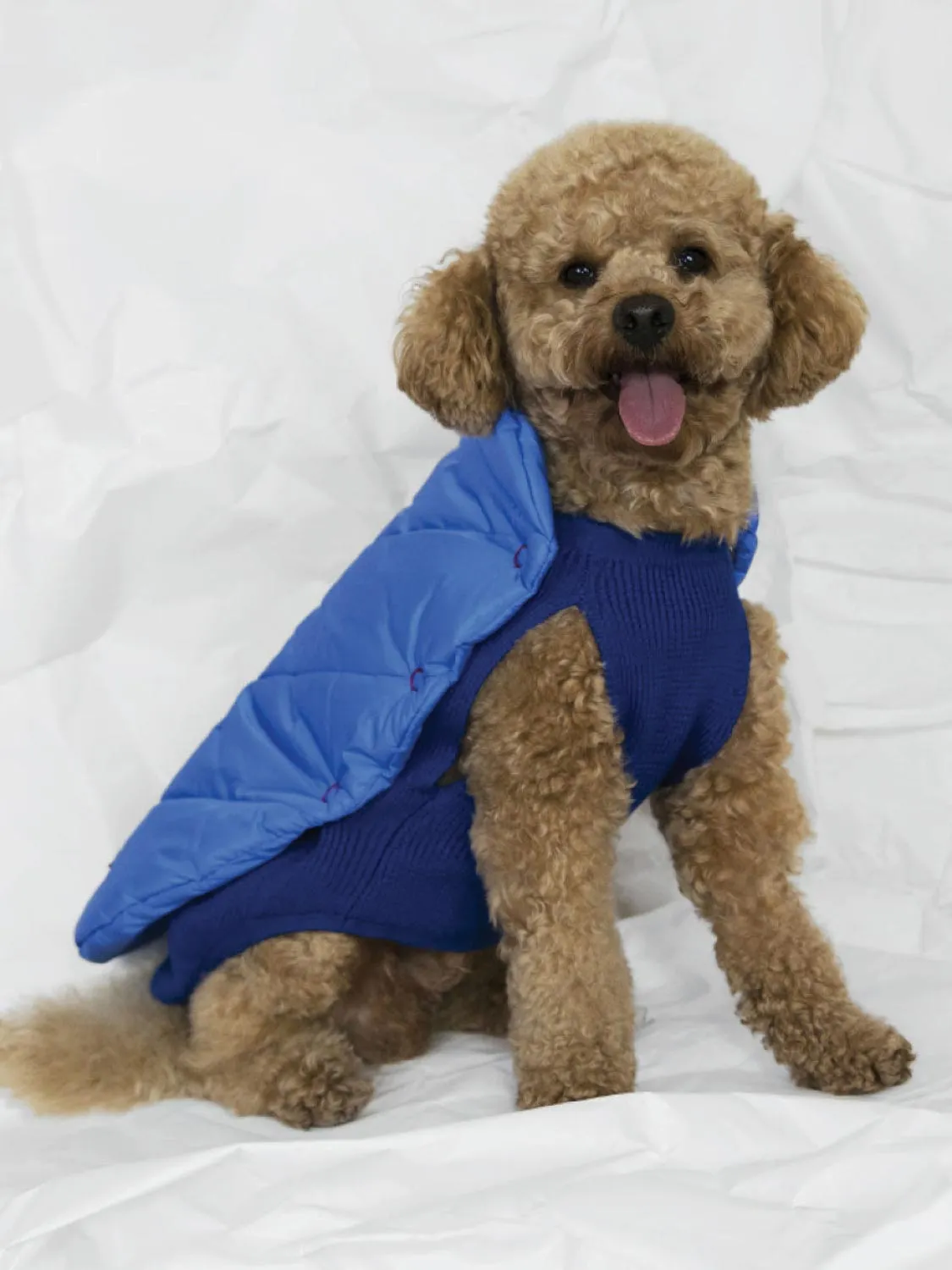 Poldo Dog Couture Reversible Coat Blue